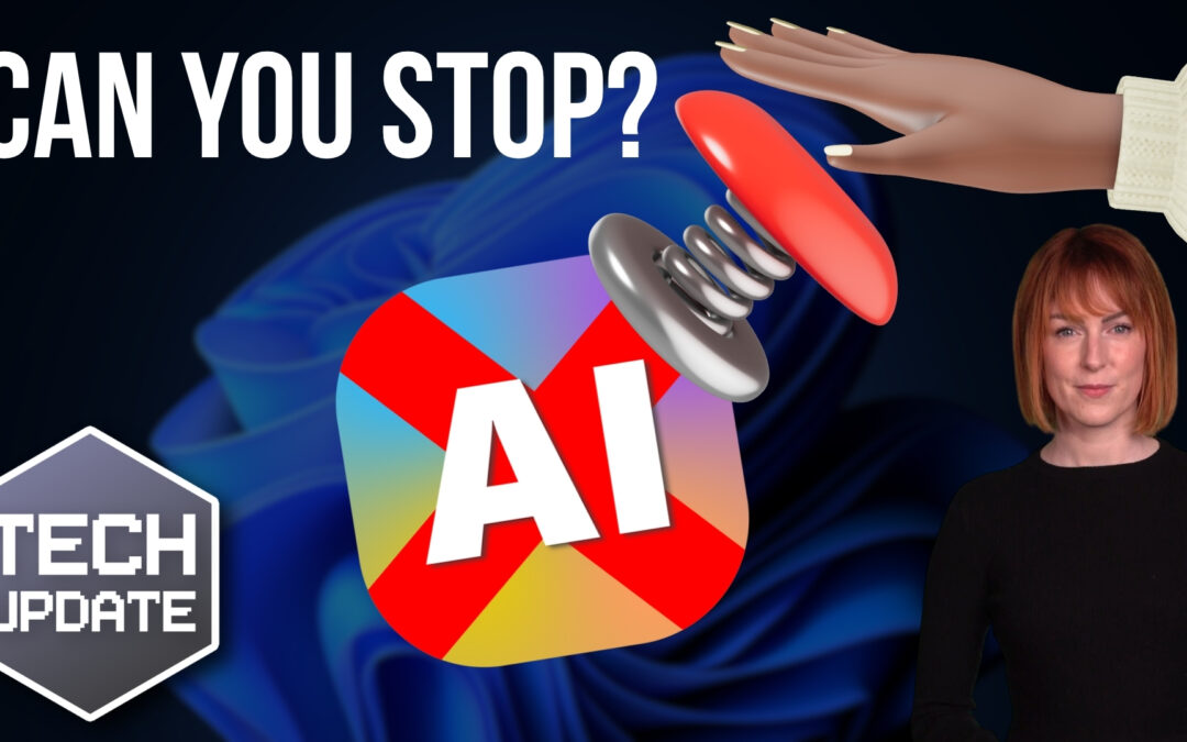 How would you stop AI in an emergency?